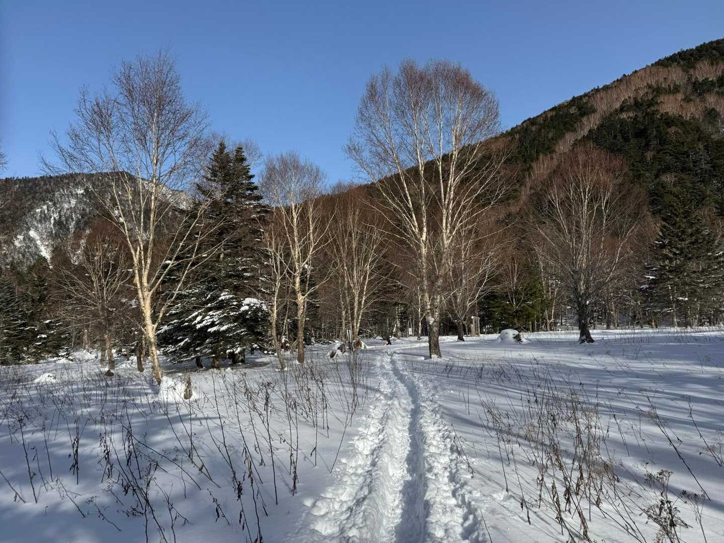 長い坂道を降り、あとは駐車場まで平たんな道を進むだけ。疲れたー。