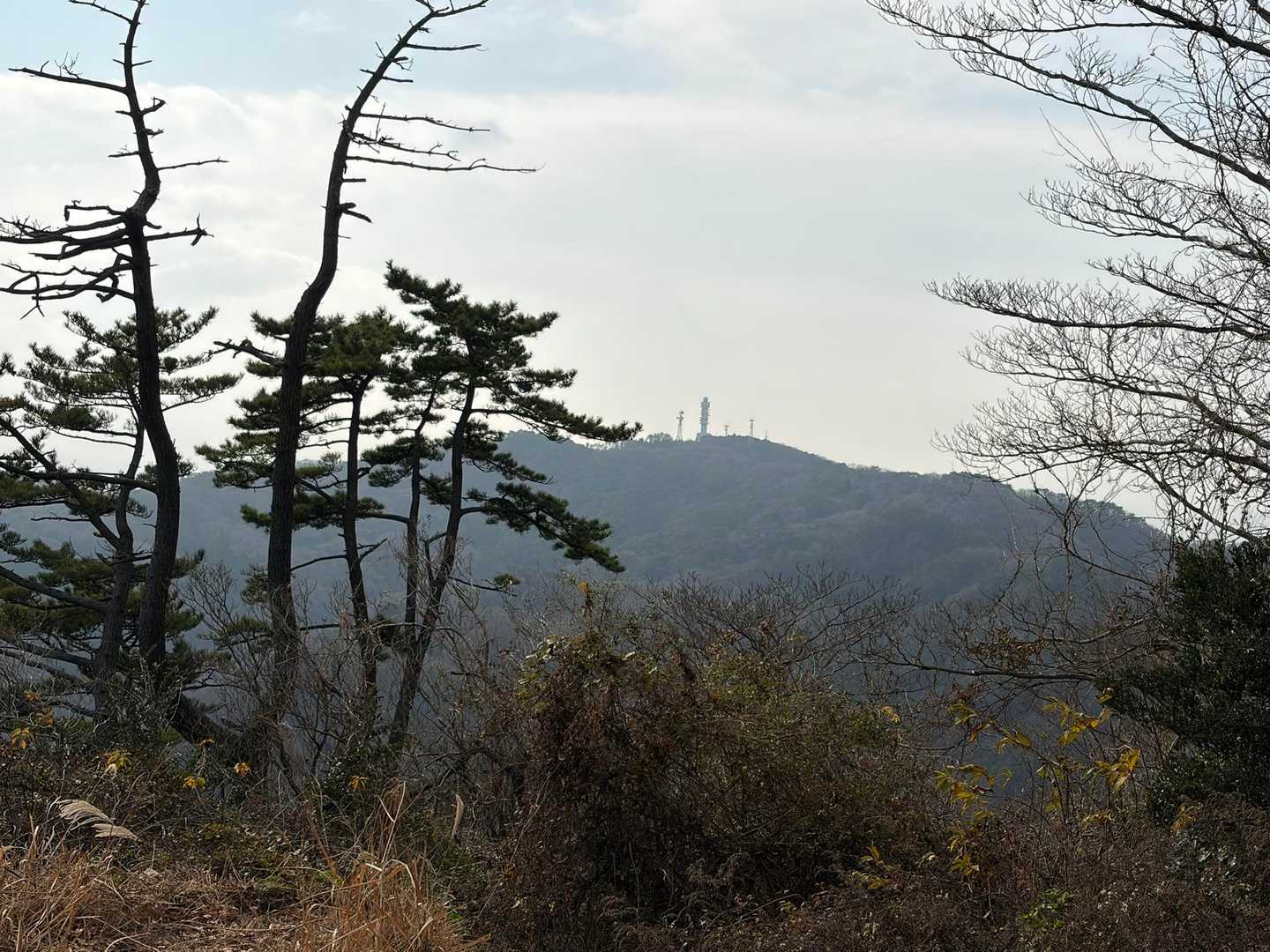 さっき登った高鈴山が見えます