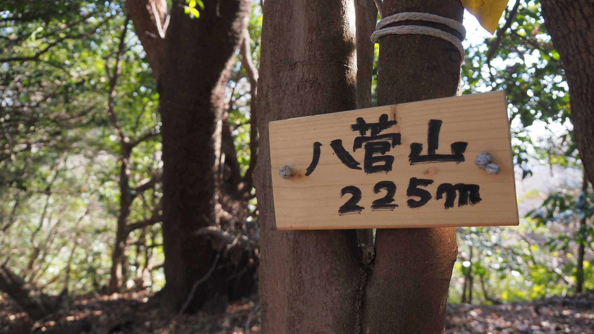 八菅山（はすげさん） 225m 山頂