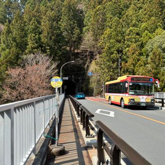 バスに乗りたいけど、愛犬と走るしか無い