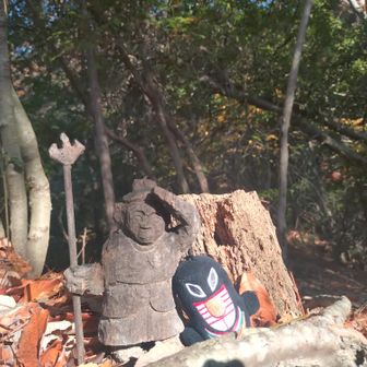 茶山の標識見つからず