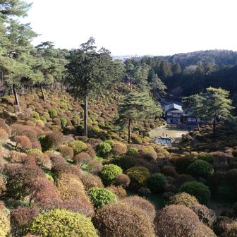 塩船観音つつじ園