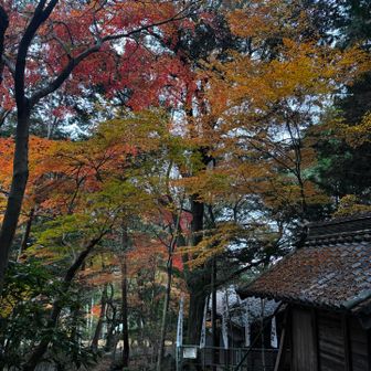少し曇りだけど それでも綺麗でした🤩