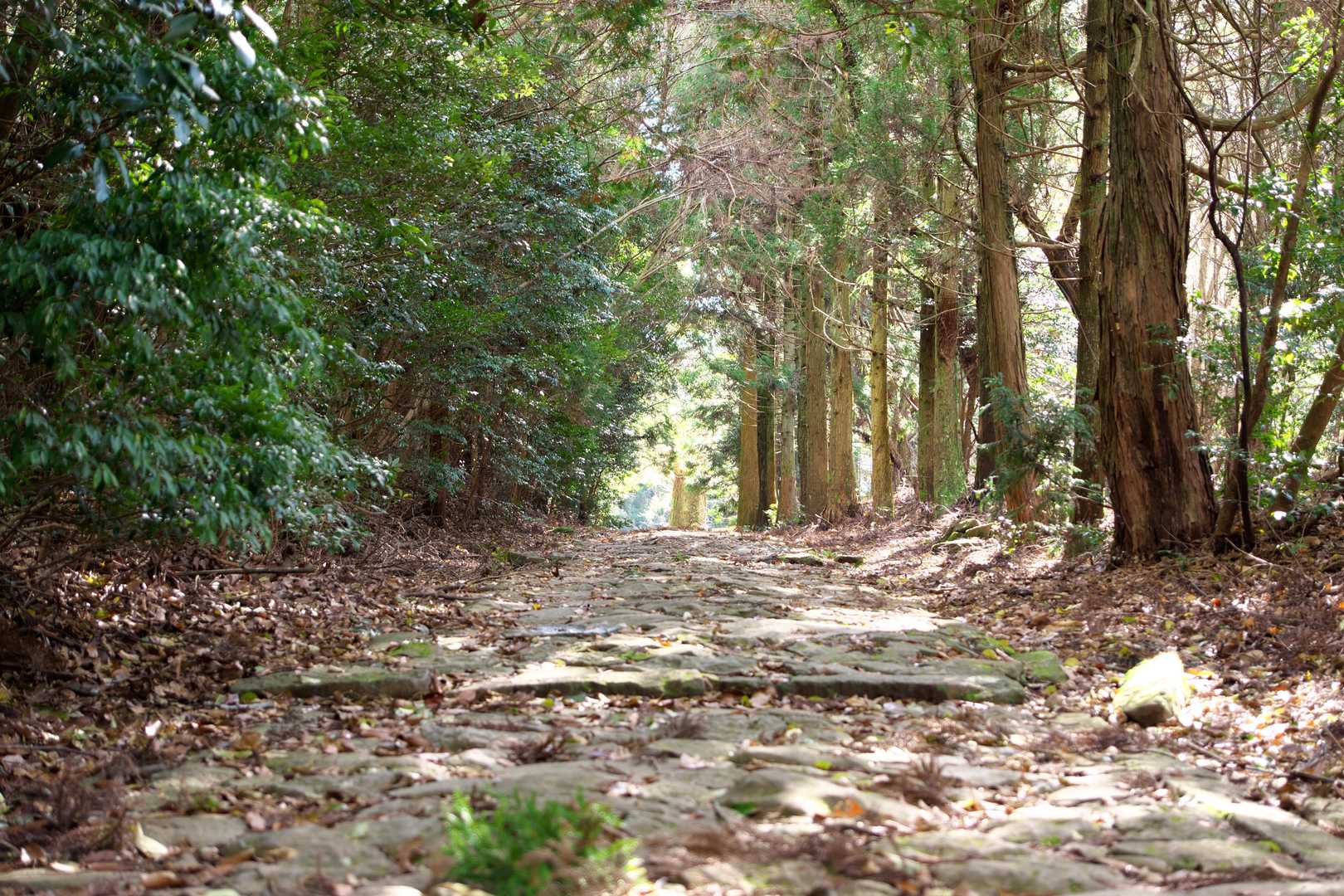 大元神社まえ。