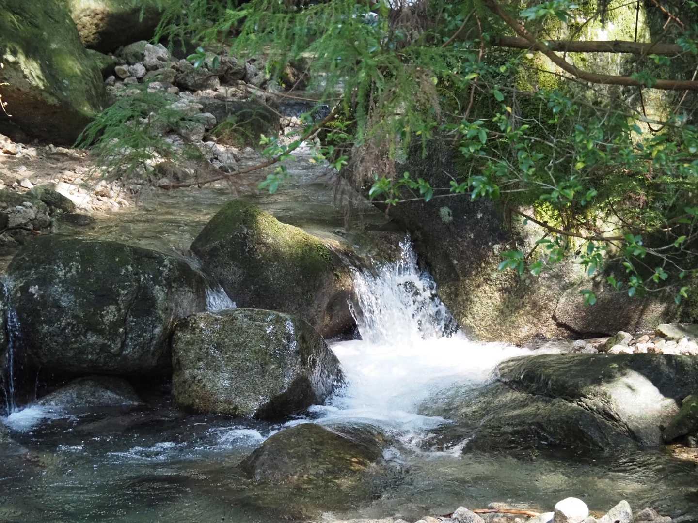 清流もあり、よか山でした。
これからも色々なコースを歩いてみようと思う。
