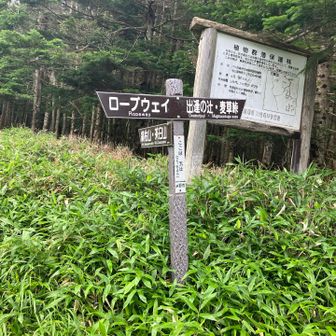 最後は笹の薮こぎをして五辻到着。今回は、麦草峠へ。