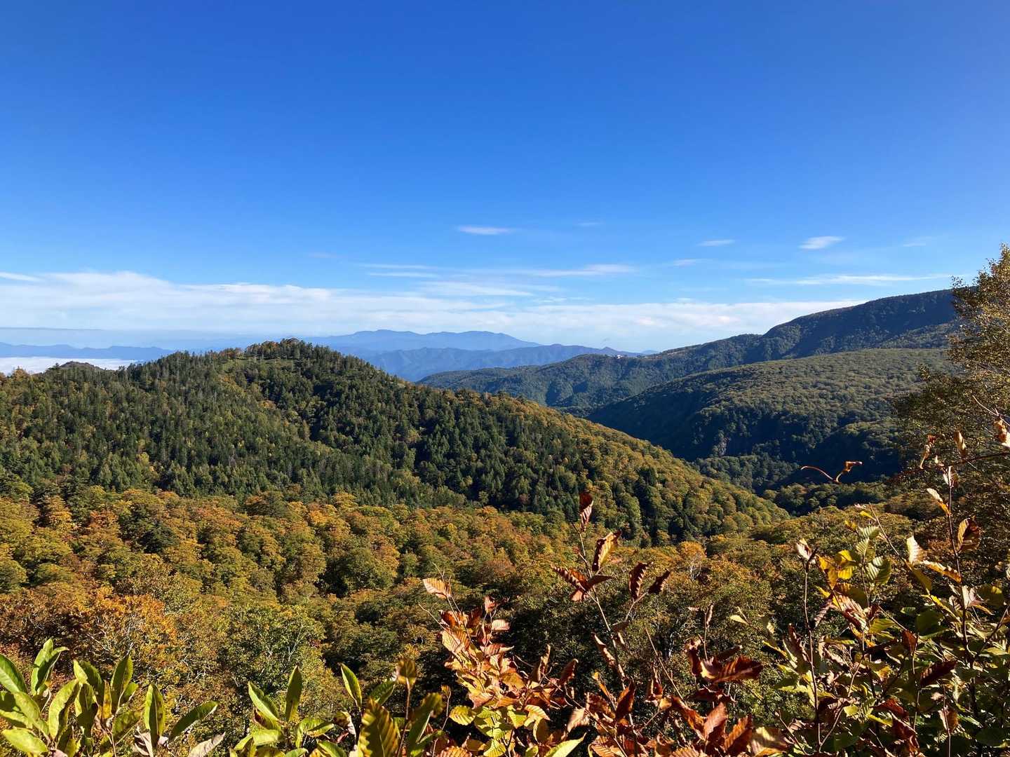 奥に見えるは我らが蔵王🗻🙌