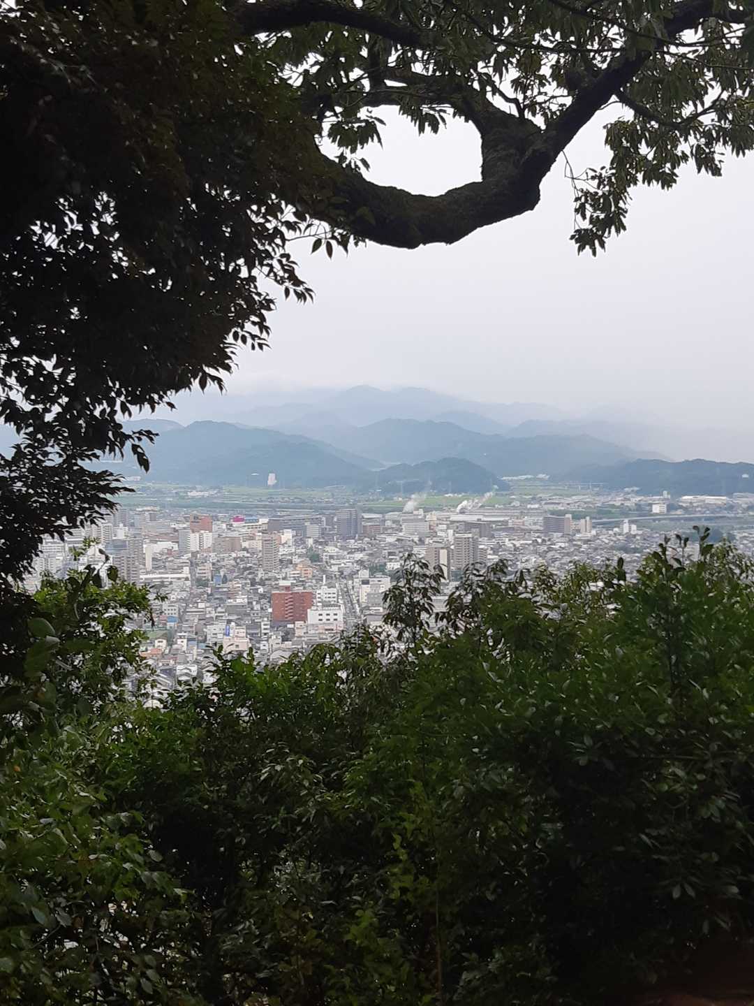 五合目から、市内方面。