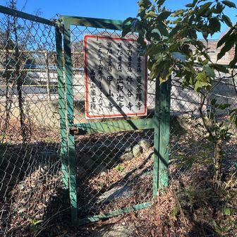 老人ホーム裏のフェンスを越えると