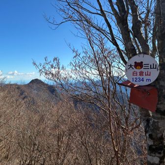 白倉山から望む古ヶ丸山