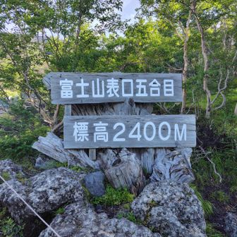 5合目、下山しました
