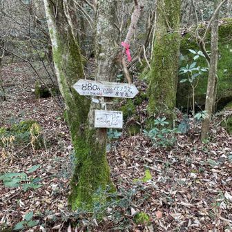 パノラマ展望台に向かう