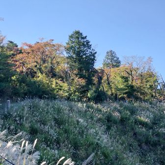 眺望良いとこに移動
少し紅葉していた
さて帰ります