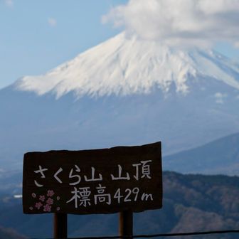 2025年もありがとうございました。
来年は怪我なく元気に登れますように🙏
気を付けます😅