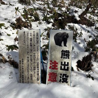 リアルな看板でインパクトあったが本物にお会いするとは恐れ入りました😰