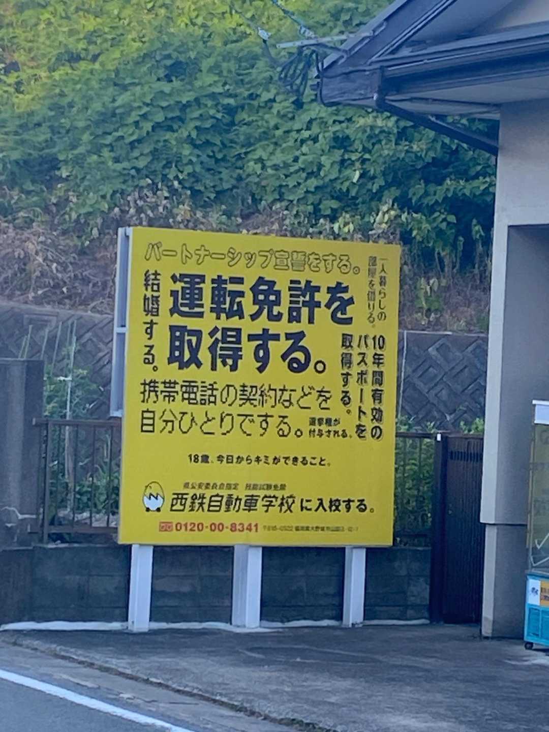 なんなんですか。