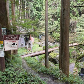 下山終了。ロード30分歩いて、釜めし屋さんへ。