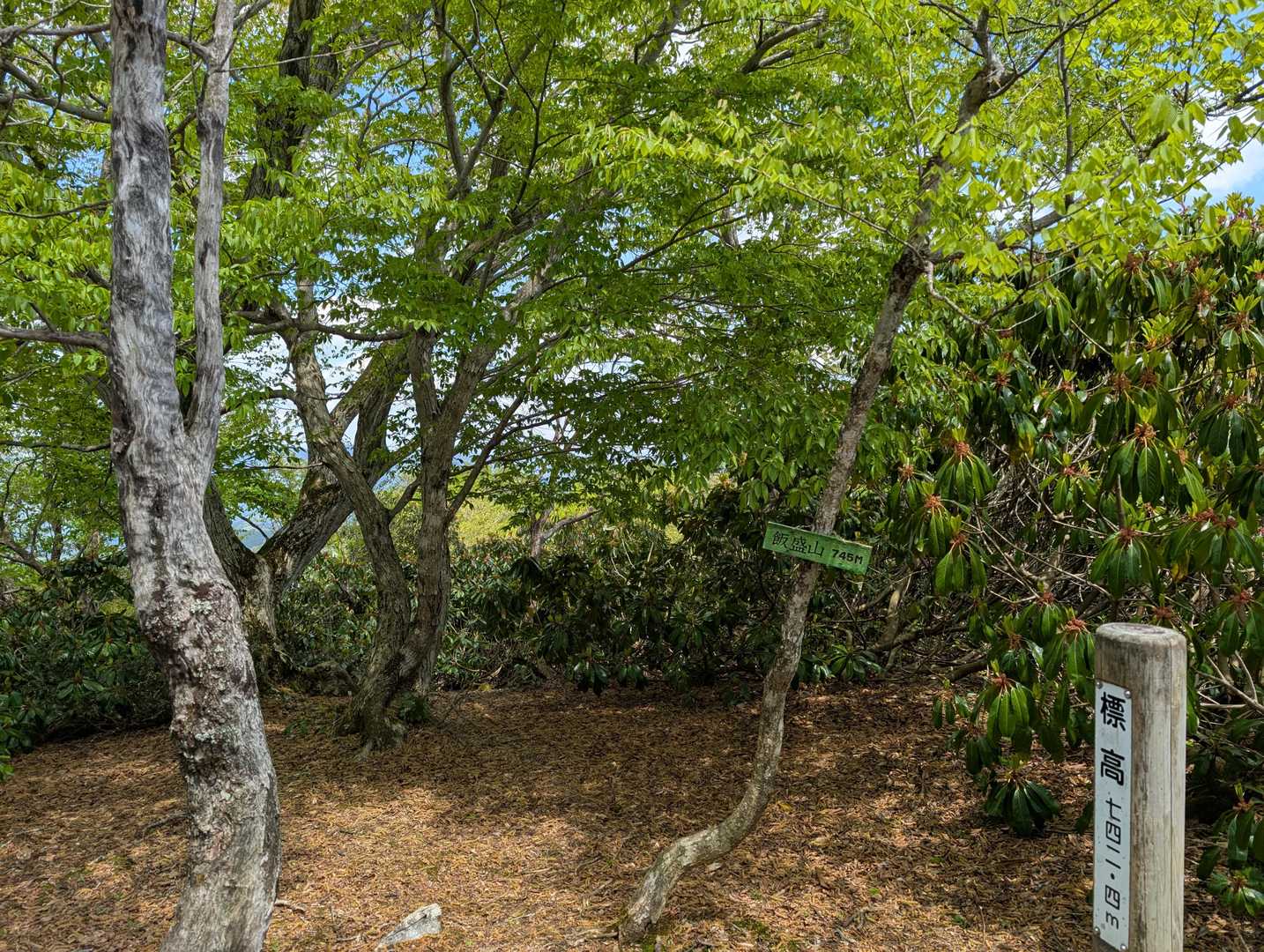 山頂から東の眺め。
眺望はありません。