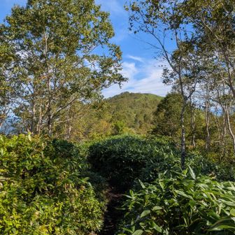 少し下って泥濘歩きで正面の山頂北峰をめざす