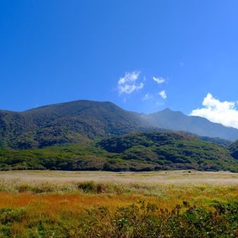 今から登る大船山方面。坊がツルはテントがけっこうありました。