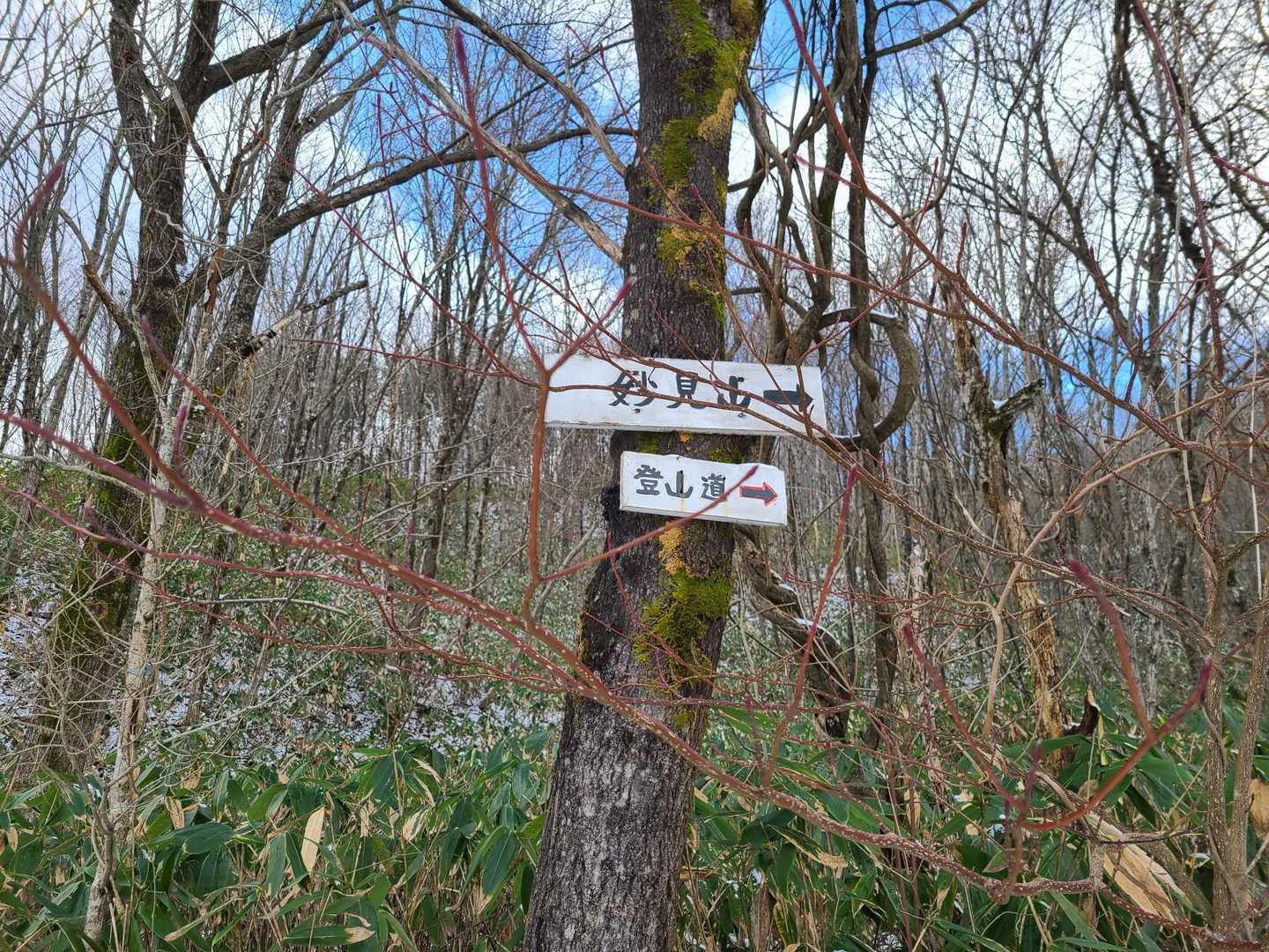 腰の手術を2週間後に控え、動けるうち、少しでも登りたい！