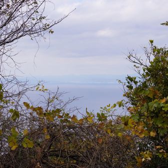 木の間から少しの眺望。あまり見えなかった