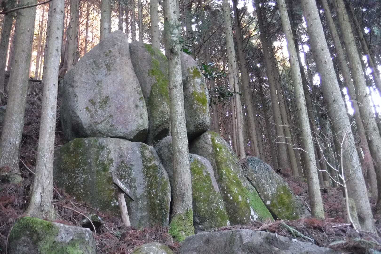 寄添い岩