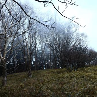 雨ヶ岳への登り。
緩めの30m程なのにつらすぎて進まない、
