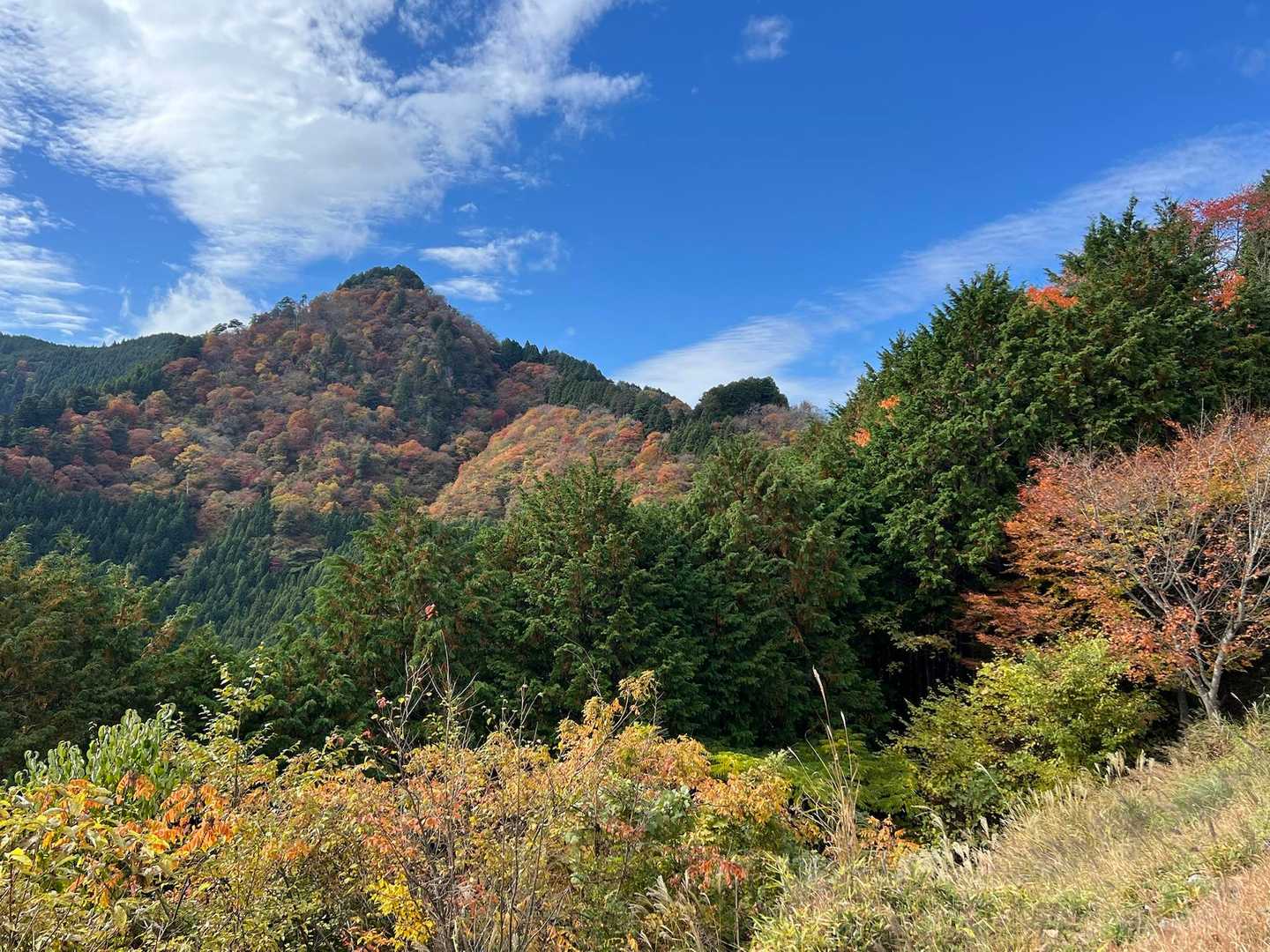 秋🍂