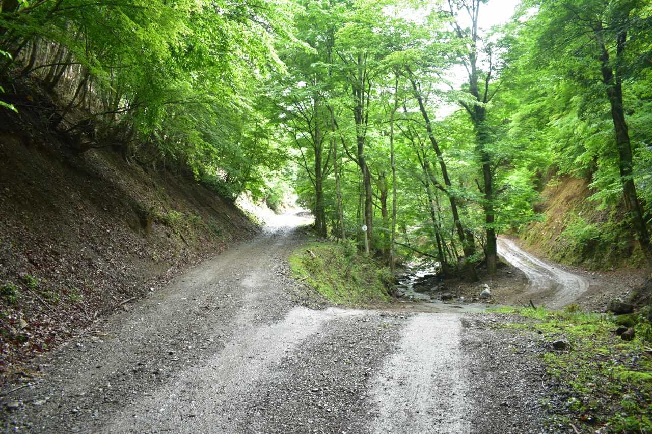 とても長い歩きの林道で飽きが来ます。