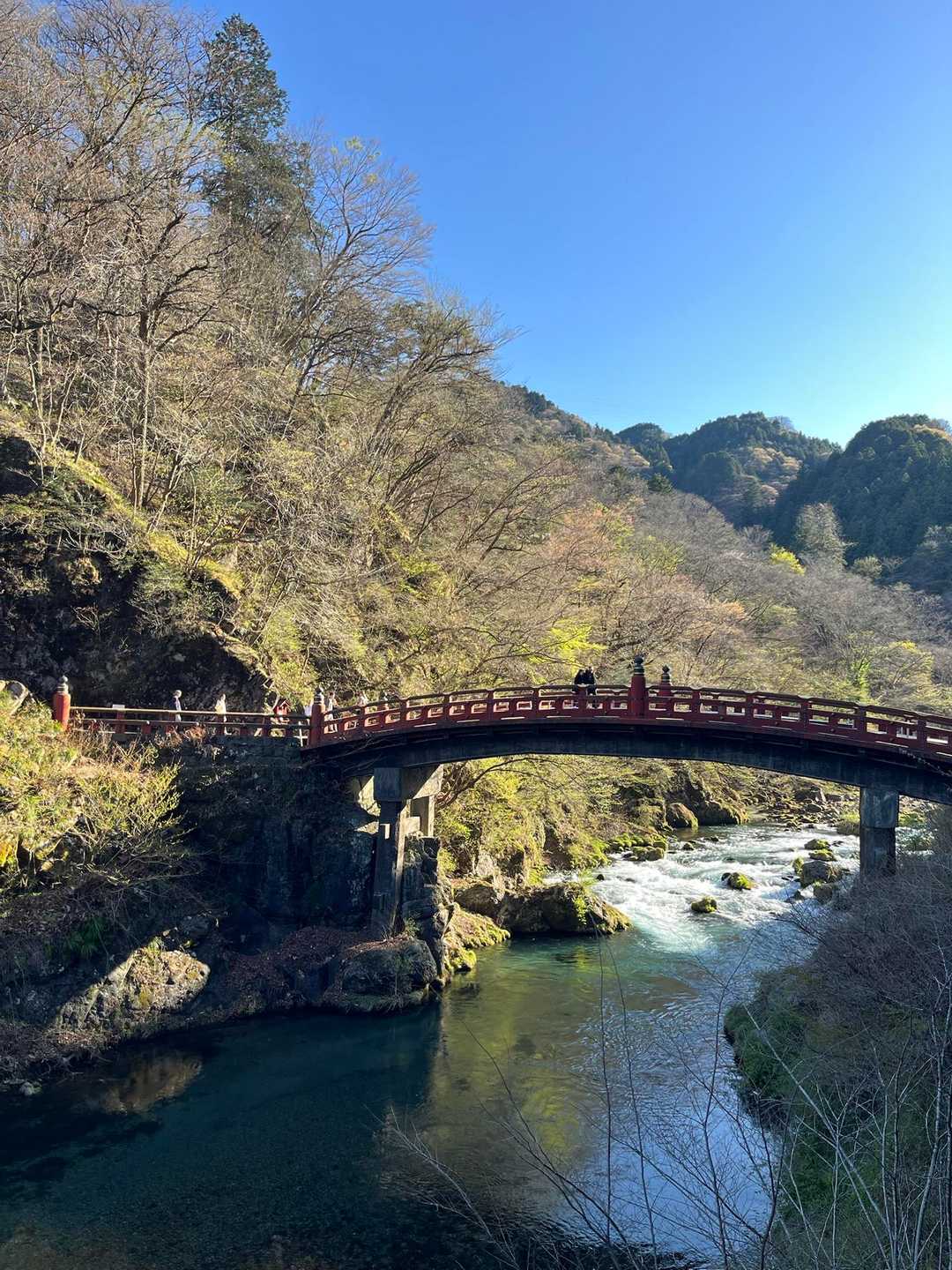 鳴虫山登山口-神ノ主山-鳴虫山-合峰-独標 縦走コースの写真