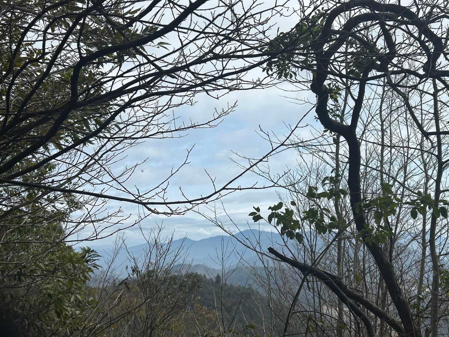 向こうに安芸アルプスだよ