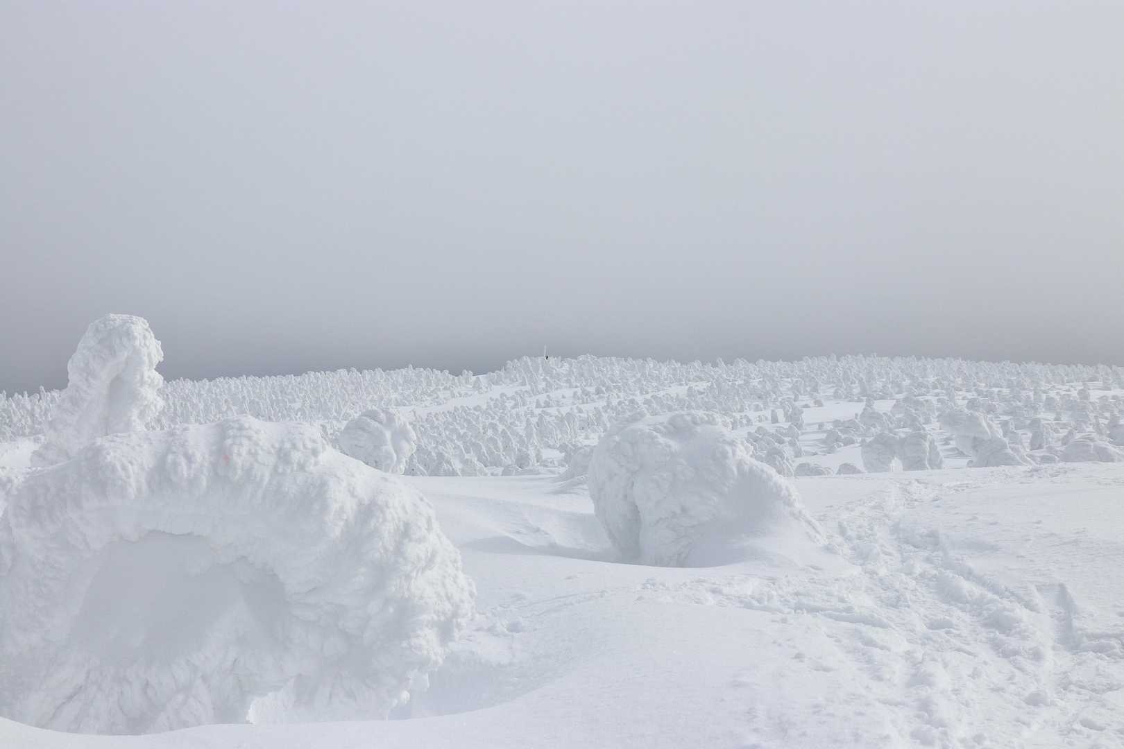 山頂発見