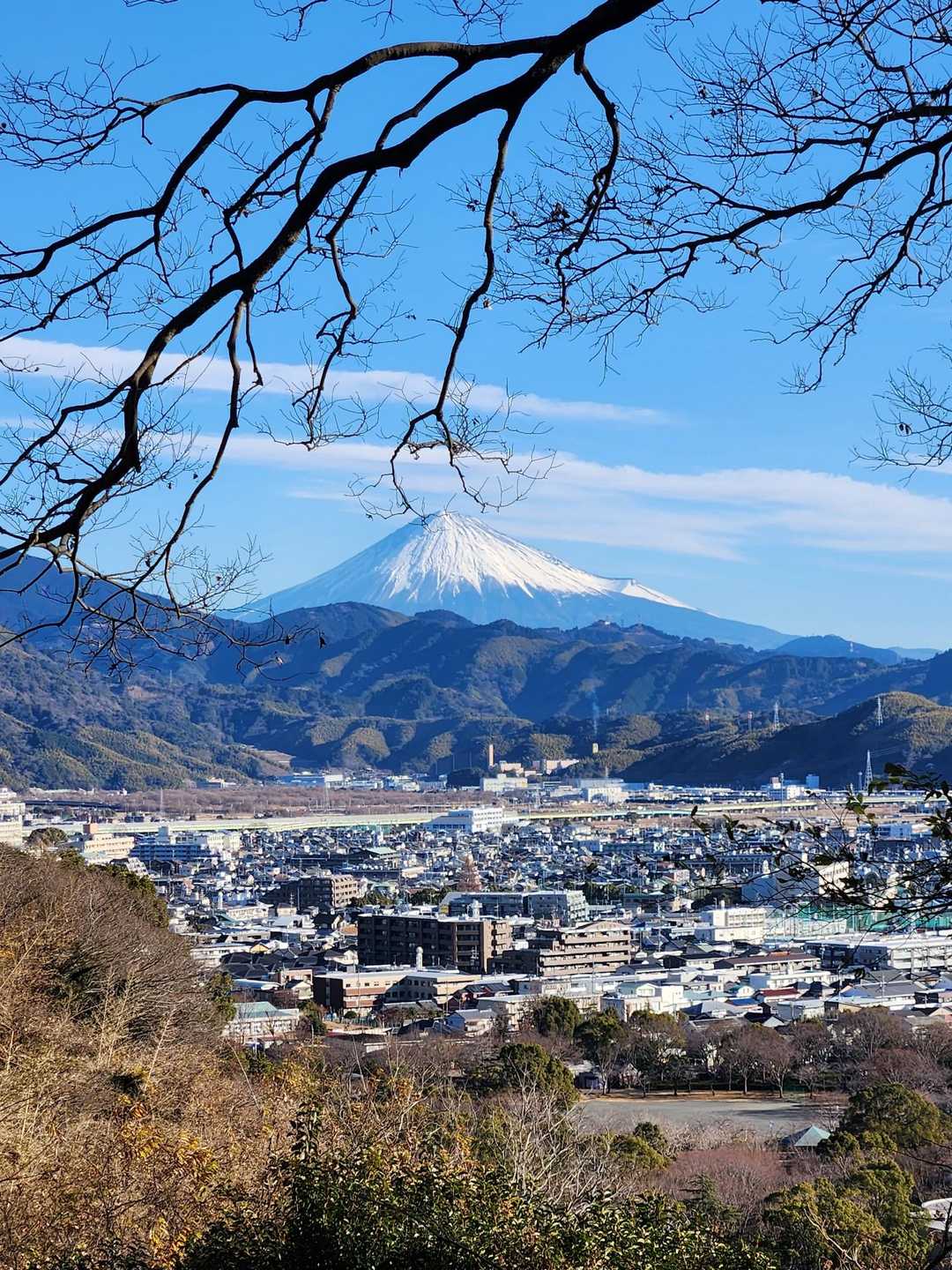 登りはじめて最初にみえた🗻