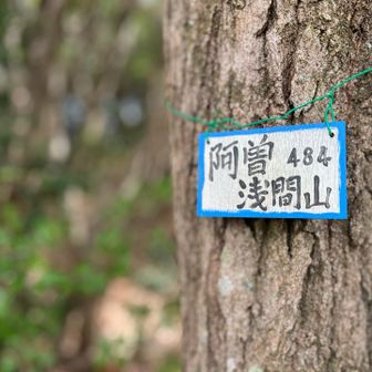 阿蘇浅間山⛩️