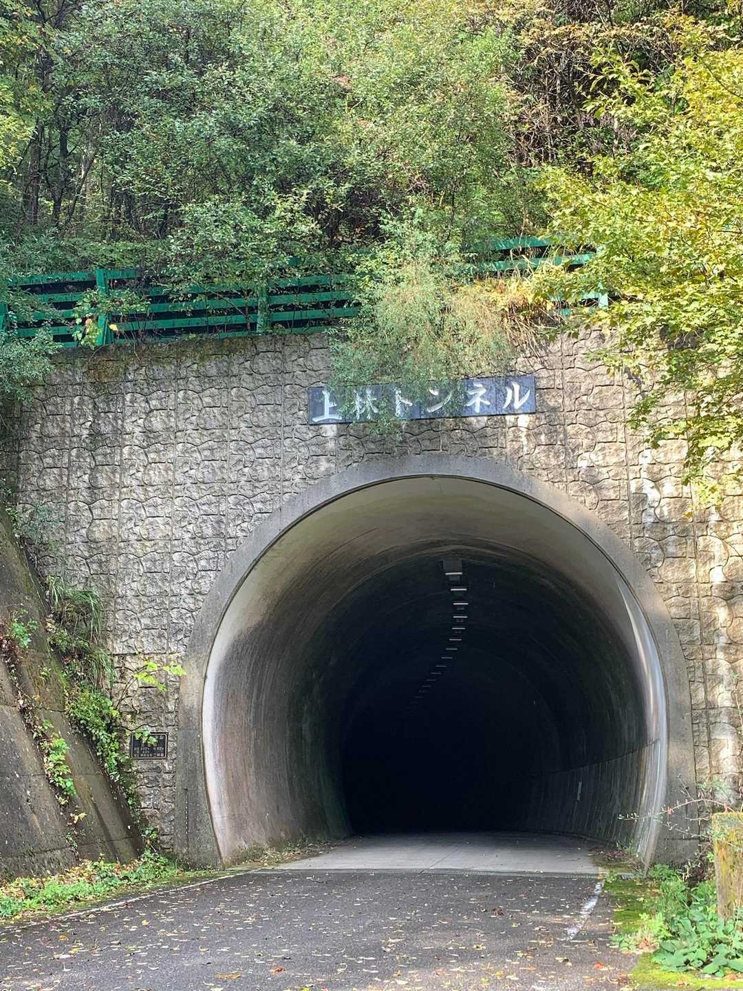 上林峠-陣ヶ森-前々司山-うなめご 往復コースの写真
