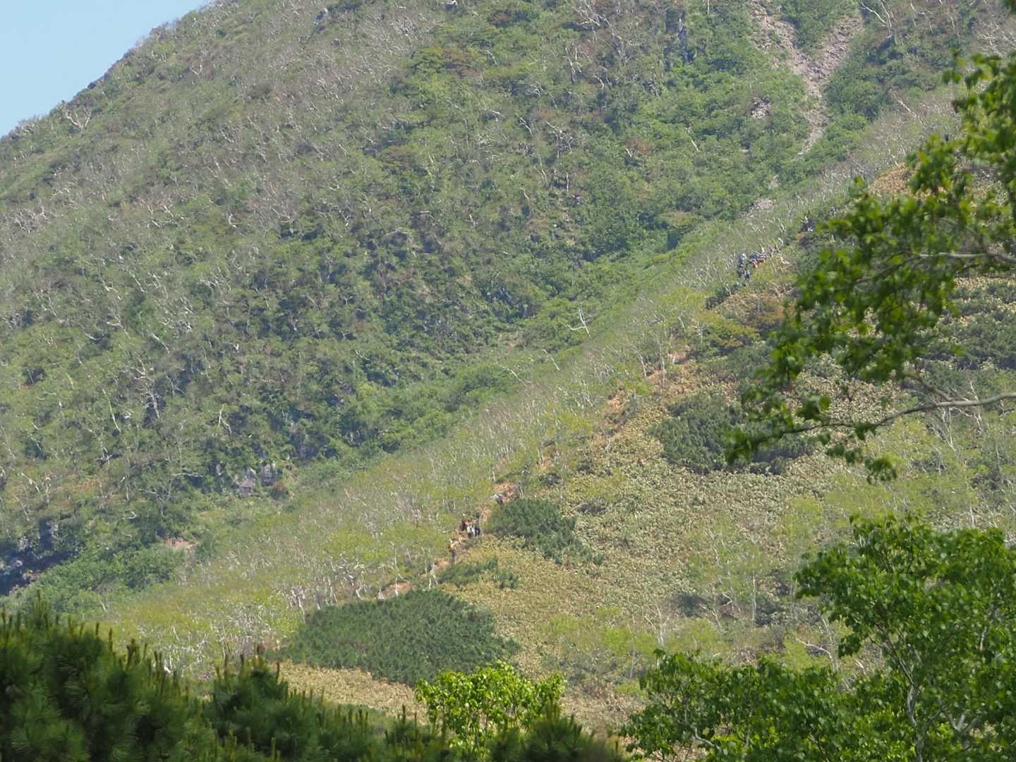 急登の登山道を登ってる😳

ヒェ〜〜〜　あれ登るんだ〜😓😓