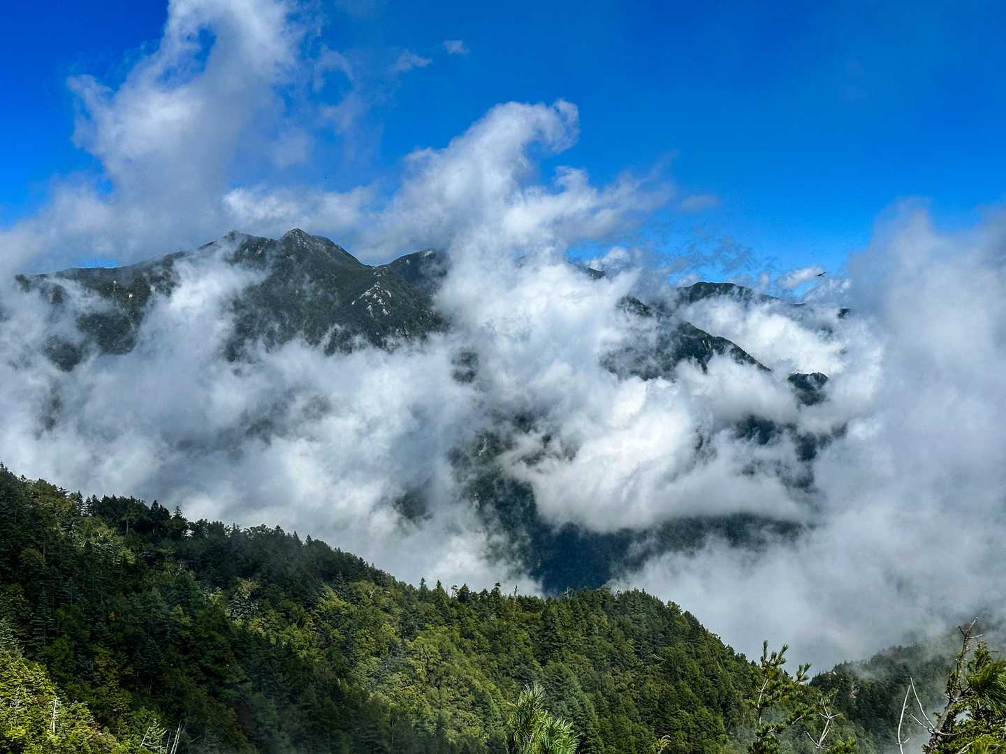 山頂より