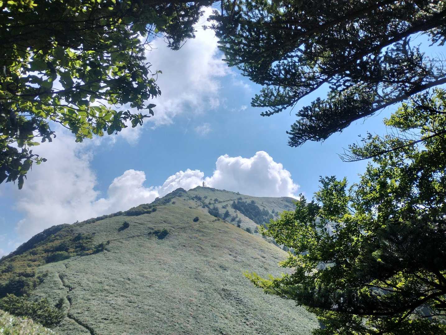 毎度ですけど、登山口まで登山する感じ。
ココから約1時間の登山で山頂かと思えば、まぁ近い気がする