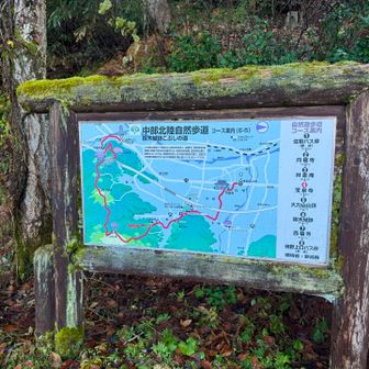 さあ、出発します。
冷え込んでいて寒いです🥶