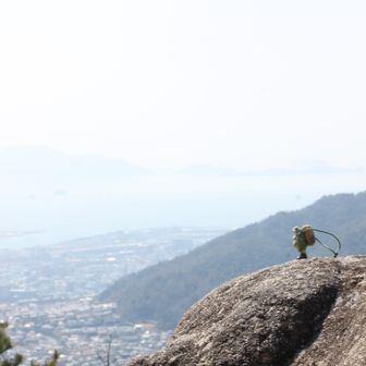 ちっちゃいしろ〜