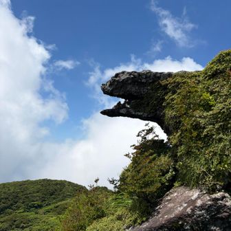 いかすぞガメラ！