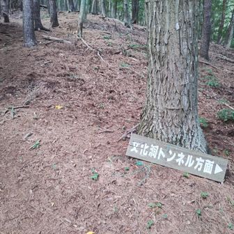 分岐、ここも行き過ぎて戻りました