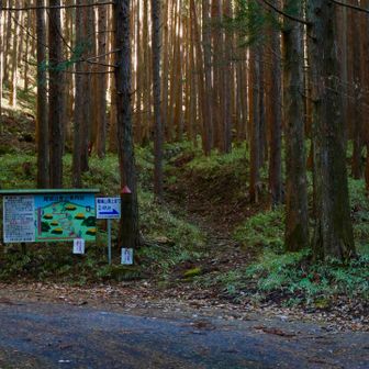 カフェの人にクマの目撃情報があったと聞かされてたのでやや緊張気味のスタート。