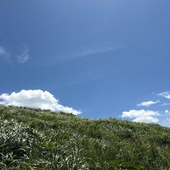 気温は25℃
風もあり、非常に気持ち良い✨