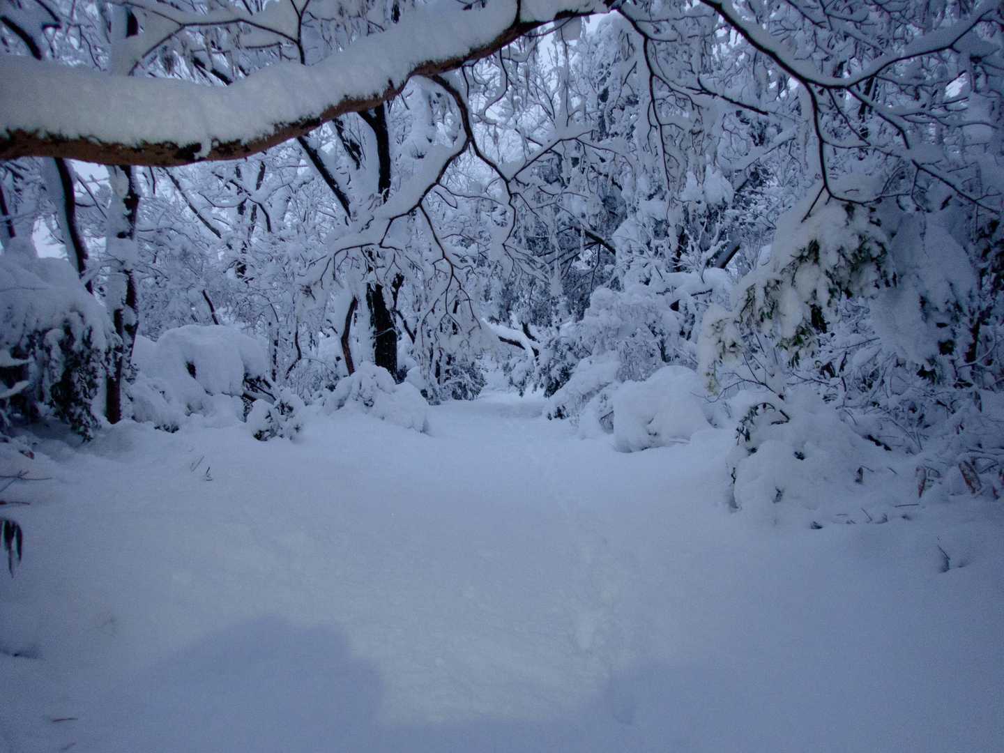 モノトーンな世界