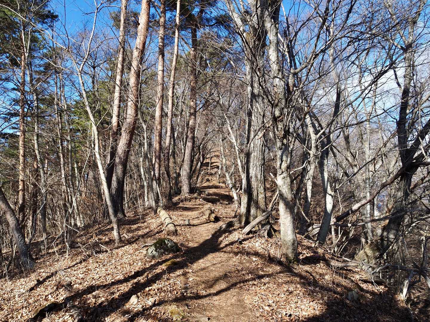 さらに登る🏃‍♀️