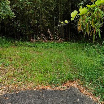 コンクリート舗装路の突き当たりを右➡️に。