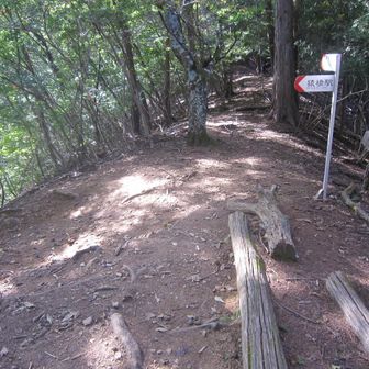 一気に葛野集落への分岐。ここを左折