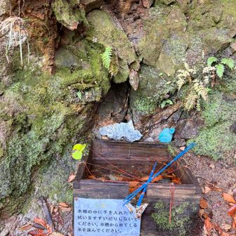 水槽の中にかなり落ち葉が入っていたので水は汲まずに。下山時にみた時は落ち葉は取り除かれていました。